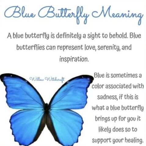 Decoding The Blue Butterfly Meaning: A Comprehensive Guide