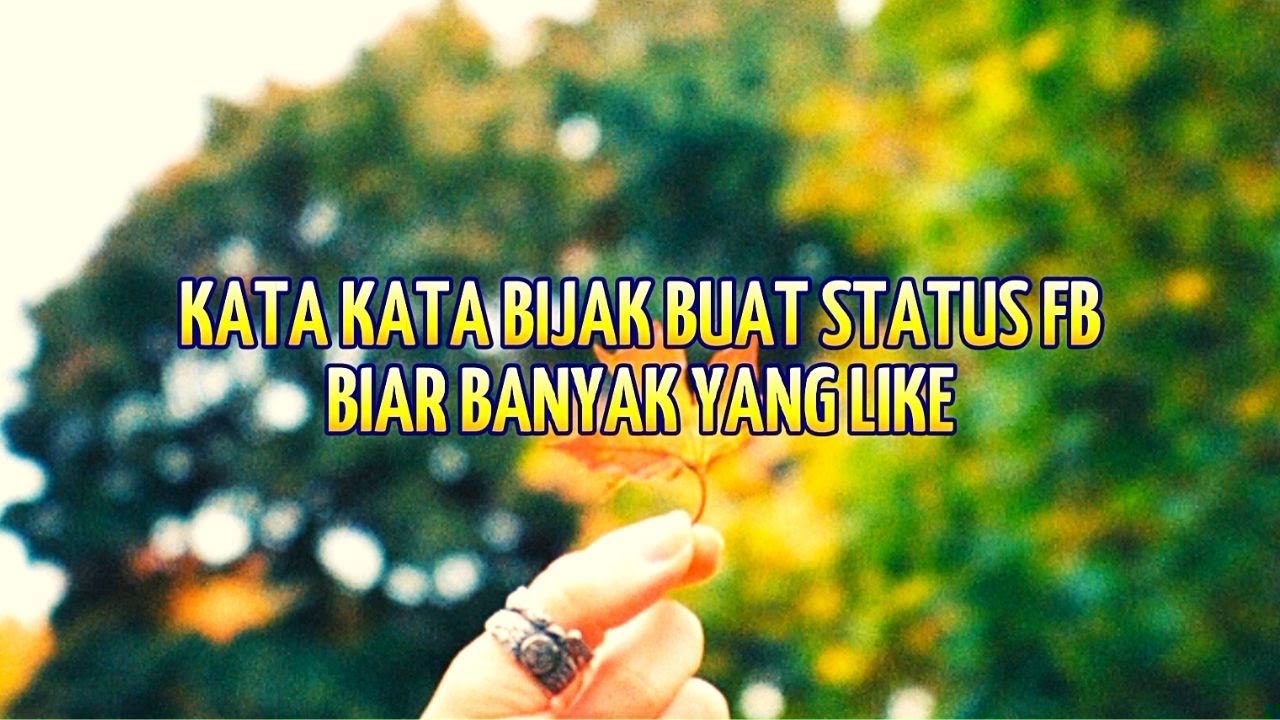 Kata-Kata Lucu Buat Status Fb Biar Banyak Yang Like Sekarang